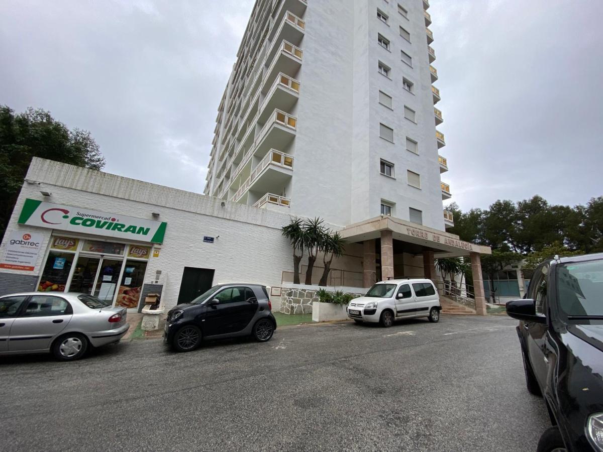 Apartment Estudio Nueva Andalucia Marbella